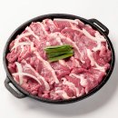 청춘오리