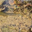 맹산환경생태학습원 이미지