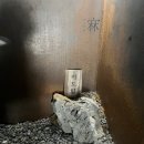 잘빠진쭈꾸미 | [일상] 2025년 7월