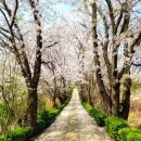 전등사로 초지로 이미지