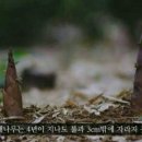 모소 - 송파구 | 모소