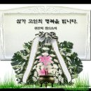 심정애 Daum카페