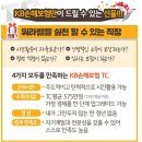 Kb손해보험 TC모집 이미지