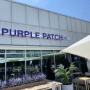 퍼플패치(PURPLE PATCH) 이미지