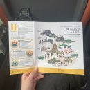 제주 천제연 난대림 | 제주 국가유산 방문의 해 스탬프투어 시즌2 후기(+참여 방법 및 지도 정보)