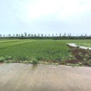 [국도40] 예산군 송산리