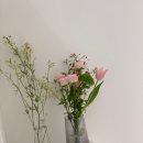 라넌클의원 이미지