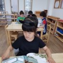 숲이랑아이랑유치원 이미지