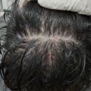 자라다의원 이미지