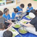 진영장등초등학교 이미지