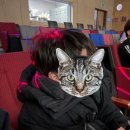 (신기하고 재미있는) 생활 과학 | 아이랑 인천어린이과학관 과학마술쇼 ‘마술사제이티의 과학실험실-레볼루션’ 관람후기 사심가득..