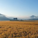 평사리의 그집 이미지