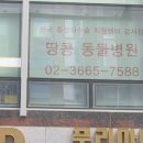 가양쿨펫동물병원 이미지