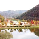 원남지야영장 이미지