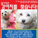 신촌이대부근 이미지