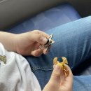 완도참전복집(포항점) 이미지