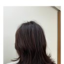 아유르헤어 이미지