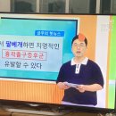 사랑의 팔베개를 언제 해 보셨나요? 이미지