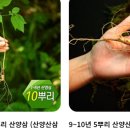 백년지기 이미지