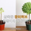 허브 - 원주시 단구로 389 | 허브