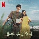 정자동 267-2~정자동 357-2 | 미금역 피티 드라마 폭싹 속았수다 속 숨병 DCS에 대한 모든것