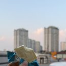 미하가든 이미지