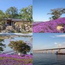 하늘천사(Sky1004) | 신안 가볼만한곳 퍼플섬부터 천사대교까지 하루 꽉 채우는 섬 여행 5곳
