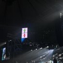 유람유치원 | 2025 그랜드민트페스티벌 후기