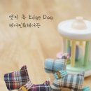 엣지Dog 이미지