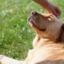 1898광장약국 이미지