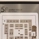 갤러리아내셔널지오그래픽 | 아내의 산책용 롱패딩구하기(K2, 네셔널지오그래픽, 디스커버리, 노스페이스)