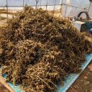 서구농장 이미지