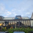 동쪽바다 세꼬시 이미지