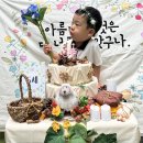 🎂솔잎둥이 유준아, 생일축하해🎂 이미지