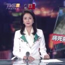 선양돼지 이미지