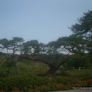 신안갈전마을 이미지