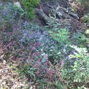 보듬손어린이집 이미지