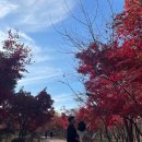 몬스터축산 네이버블로그