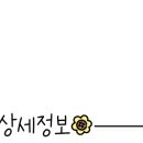 유학플래너닷컴 울산대지사 이미지