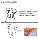 우주-무한궤도 | 세상은 잔인하고 공평하지 못한 장소야 우주의 조화같은것도 모르겟고 인생은 그저 고통의 연속일 뿐이지