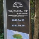 카페술도가제주바당 이미지