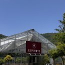 새숙골 당근집 | 경기도/포천 서울 근교 나들이 아이랑 가기좋은 마이애니멀스토리 in평강랜드 솔직후기