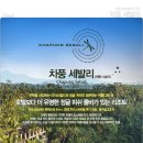 정글 이미지