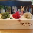 보뇌르플루 이미지