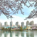 호수마을월드도서관 | 지금 가장 예쁜 서울 벚꽃 명소 7 서울 봄나들이 솔직 후기