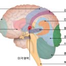 뇌진탕후증후군 이미지