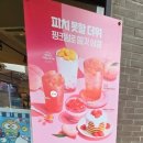 이디야 개화산점