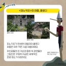 피노키오서점 이미지