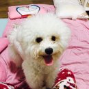 봉자씨 이미지