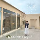 스테이상아 이미지